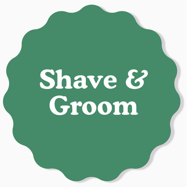 Shave & Groom